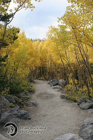 RockyMtnPark-5149