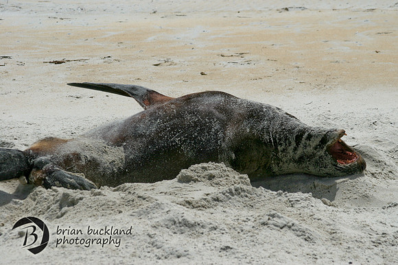 NewZealand-0232