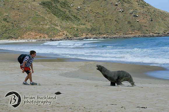 NewZealand-0367