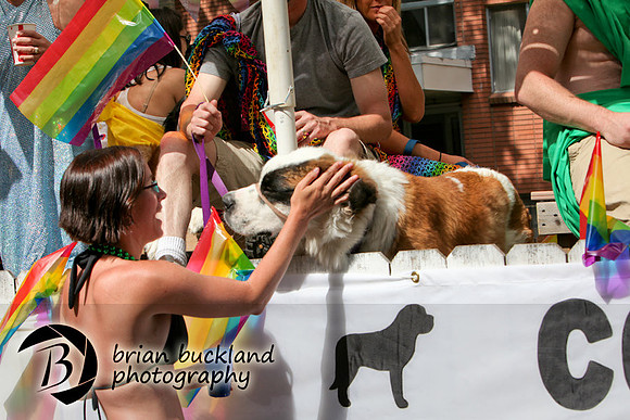 Pride-2663