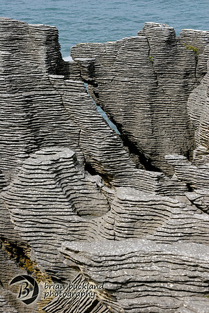 NewZealand-0888