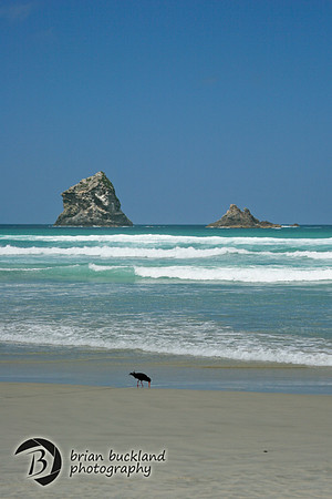 NewZealand-0222