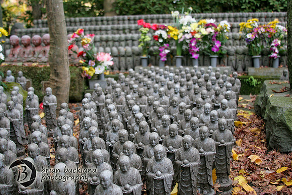 Japan-9253