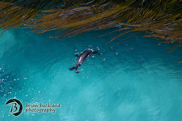 NewZealand-0160