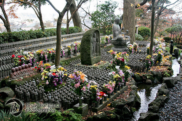 Japan-9248