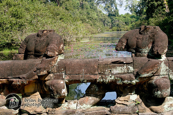 Cambodia-8742