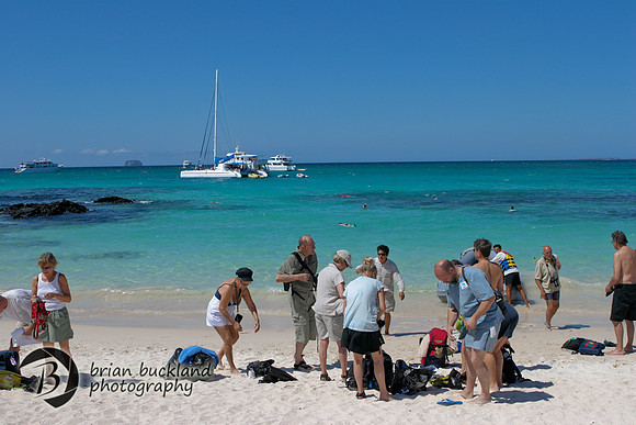 Galapagos-5797