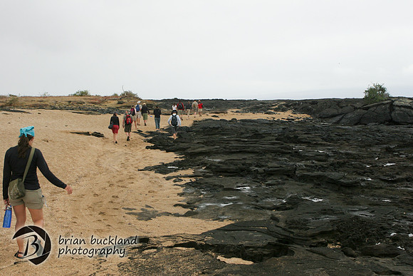 Galapagos-6832