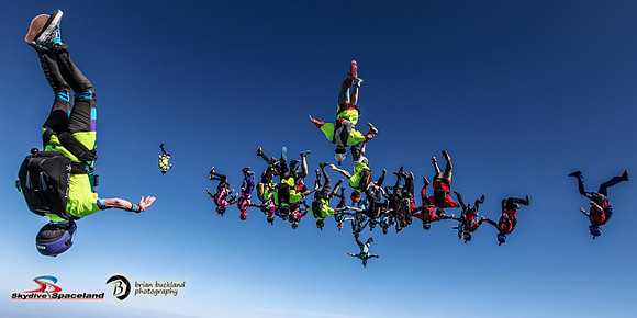 Bigz-8339
