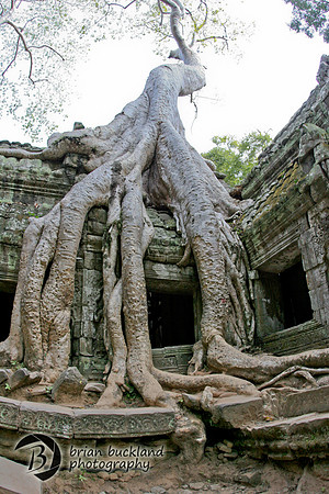 Cambodia-8659
