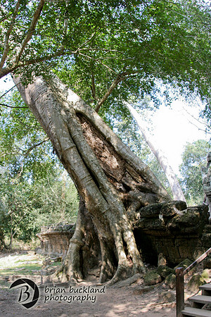 Cambodia-8602
