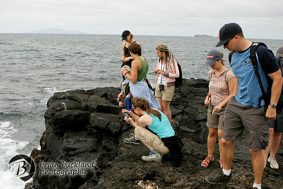 Galapagos-6279