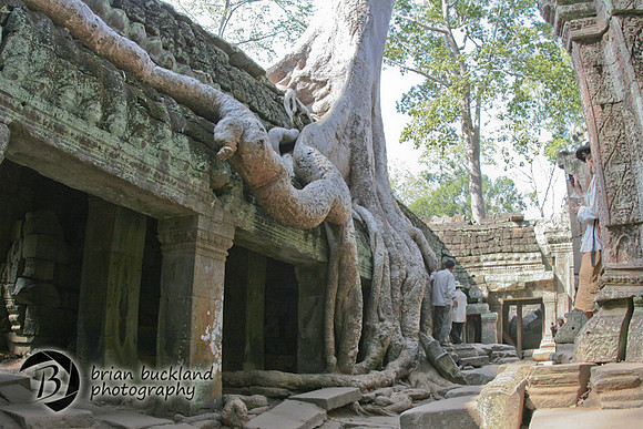 Cambodia-8651