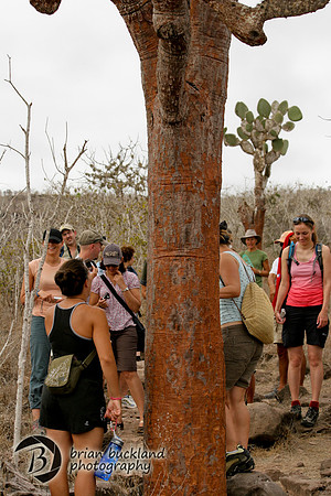 Galapagos-8278