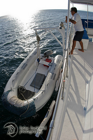 Galapagos-7246