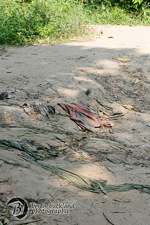 Cambodia-8301
