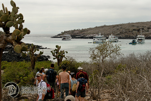 Galapagos-8292
