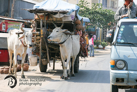 Cambodia-8370
