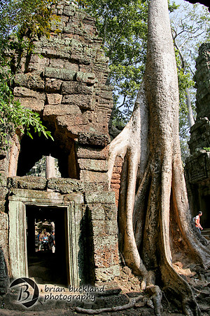 Cambodia-8673