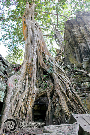Cambodia-8633