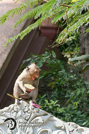 Cambodia-8388