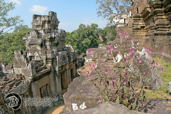 Cambodia-8587