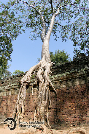 Cambodia-8652