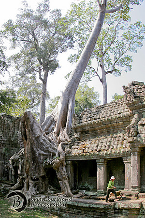 Cambodia-8789