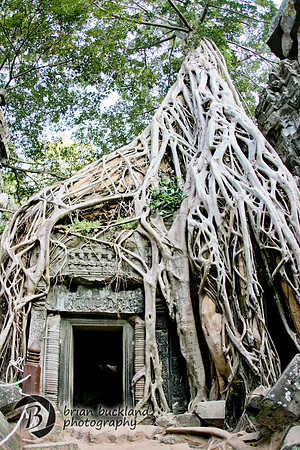Cambodia-8639