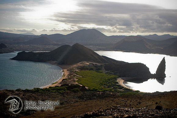 Galapagos-6536