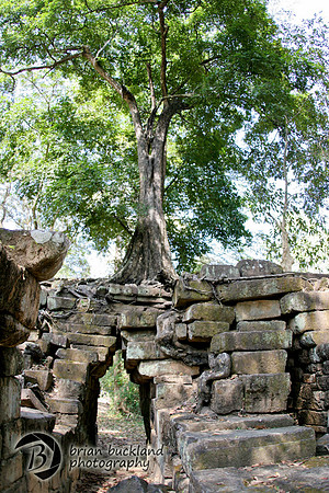 Cambodia-8570