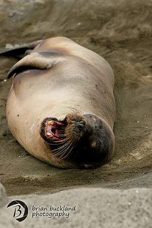 Galapagos-6649