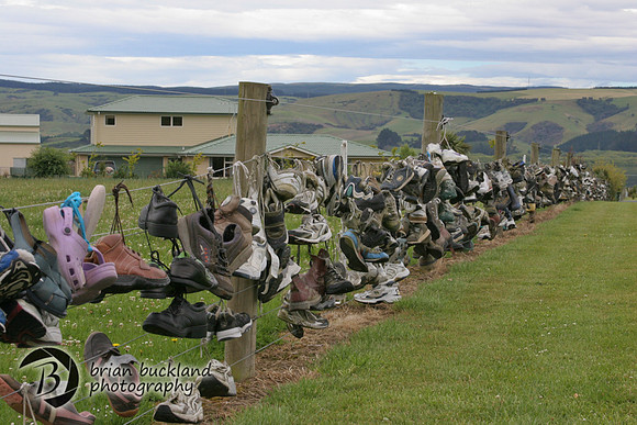 NewZealand-0413