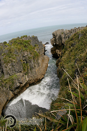 NewZealand-0876