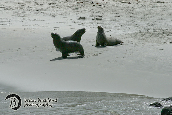 NewZealand-0324