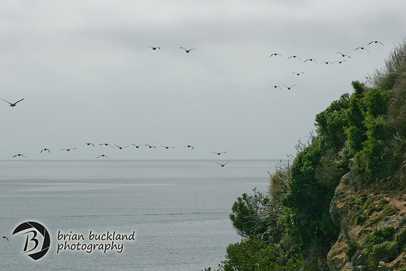 NewZealand-0174