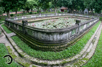 Vietnam-7336