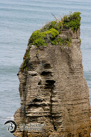 NewZealand-0866