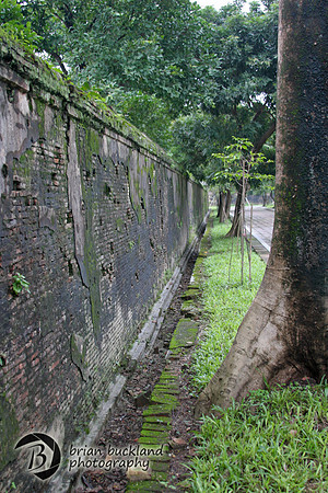 Vietnam-8130
