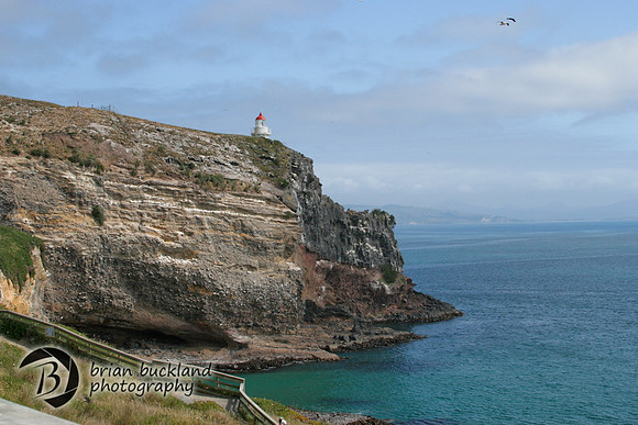 NewZealand-0172