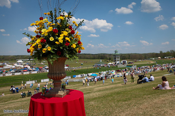 SteepleChase-1573