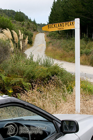NewZealand-0914