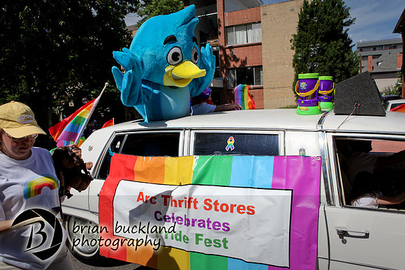 Pride-2985