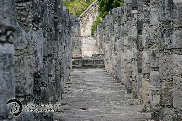 IMG_2644