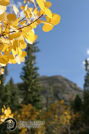 RockyMtnPark-5115