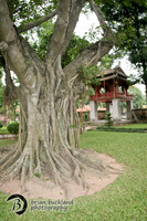 Vietnam-7340