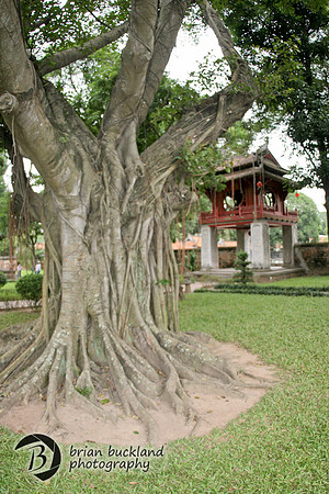 Vietnam-7340