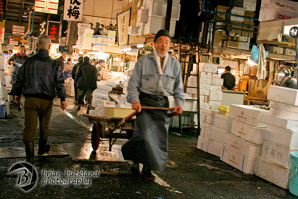 Japan-9577