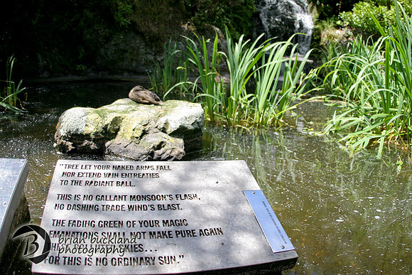 NewZealand-1022