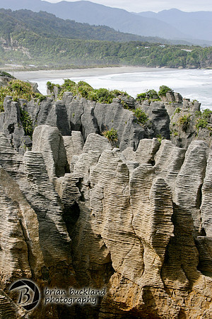 NewZealand-0890